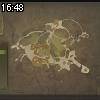 16時45分 ごろ