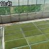 11時45分 ごろ