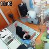 11時40分 ごろ