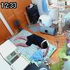 12時30分 ごろ