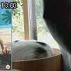 13時00分 ごろ