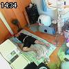 14時30分 ごろ