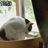 13時55分 ごろ