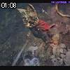 01時05分 ごろ
