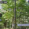 03時40分 ごろ