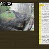 12時35分 ごろ