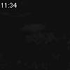 11時30分 ごろ