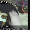 22時30分 ごろ