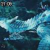 21時05分 ごろ