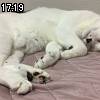 17時15分 ごろ