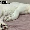17時20分 ごろ