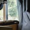 18時05分 ごろ