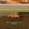 21時15分 ごろ