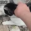 10時45分 ごろ