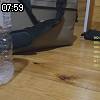 07時55分 ごろ