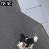 09時50分 ごろ