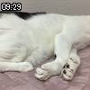 09時25分 ごろ