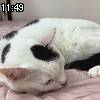 11時45分 ごろ