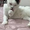 11時55分 ごろ
