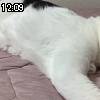 12時05分 ごろ