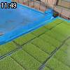 11時45分 ごろ