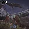 16時50分 ごろ