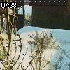 07時35分 ごろ