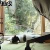 11時45分 ごろ