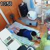 13時55分 ごろ