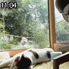 11時00分 ごろ