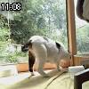 11時05分 ごろ