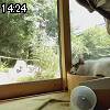 14時20分 ごろ