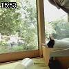 15時50分 ごろ