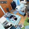 04時25分 ごろ