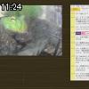 11時20分 ごろ
