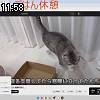 11時55分 ごろ