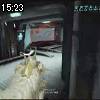 15時20分 ごろ
