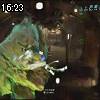 16時20分 ごろ